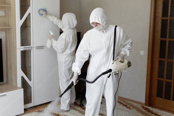 Trusted Clinton, IL Mold Removal Experts